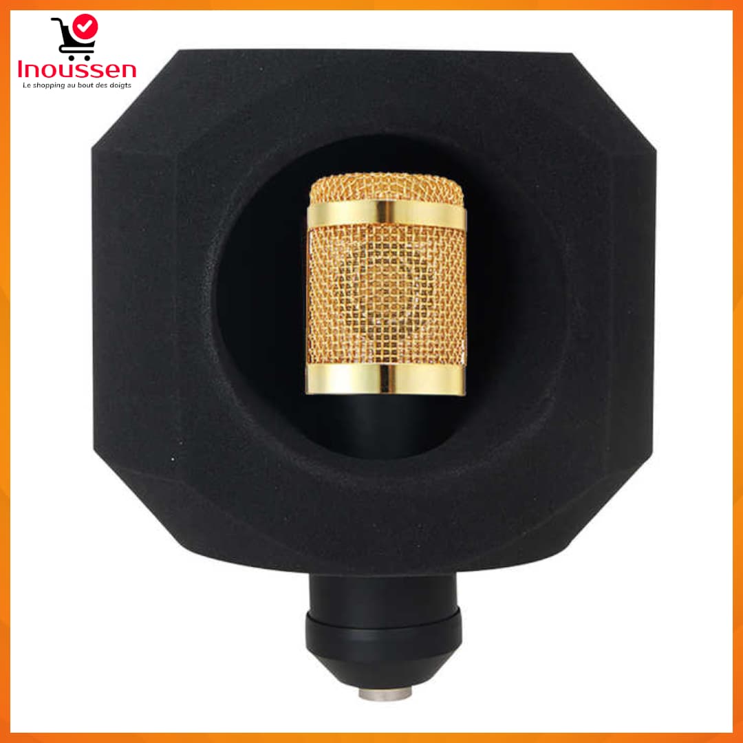 Bouclier Acoustique PF8  – Filtre Anti Bruit Pour Micro | Livraison Gratuite