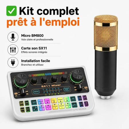 Kit Studio Complet Micro + Carte Son — Son Pro Facile + Livraison Gratuite à Dakar INOUSSEN