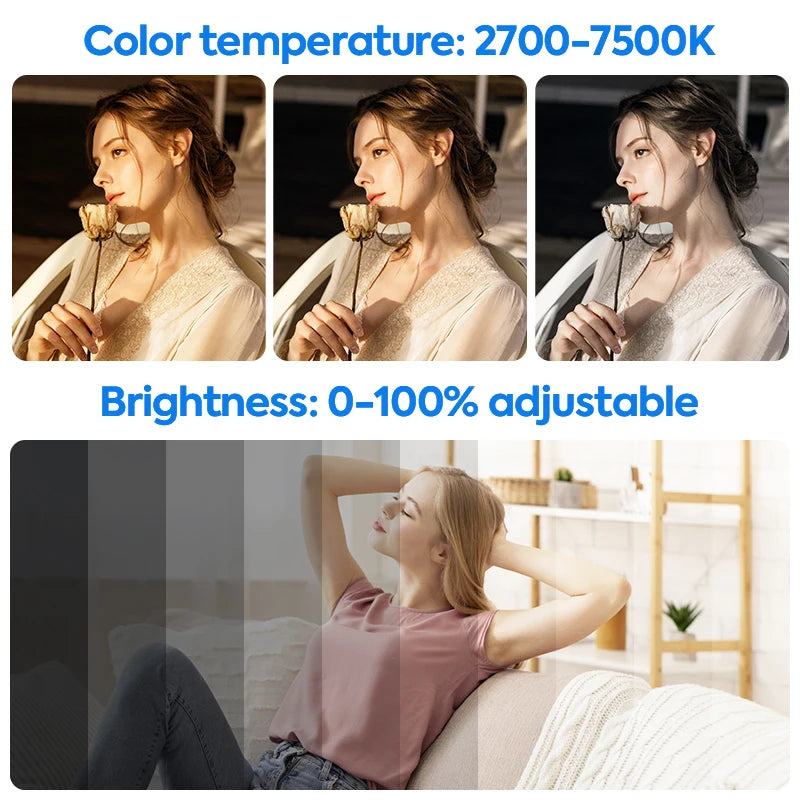 Kit d’Éclairage LED 24’’ avec Trépied – Idéal pour YouTube/Tiktok & Studio Photo